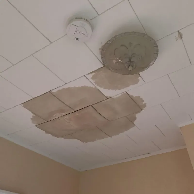 Ceiling Water Damage Repair in Helena, OK