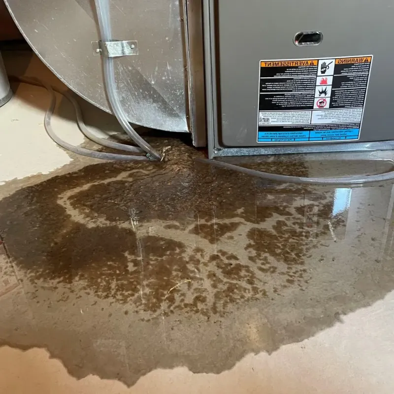 Pipe Burst and Leak Restoration in Helena, OK